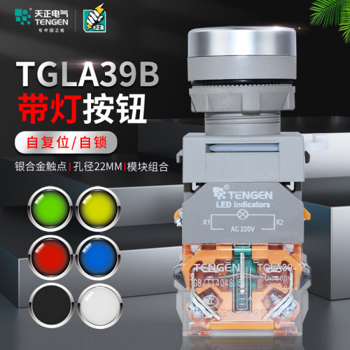 天正TGLA39B-11BND带灯按钮开关