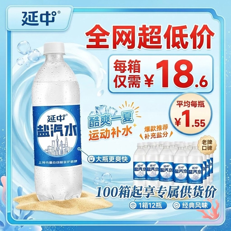 上海延中盐汽水600ml*12瓶补充盐分防暑解渴气泡水碳酸饮料团购 - 实物图
