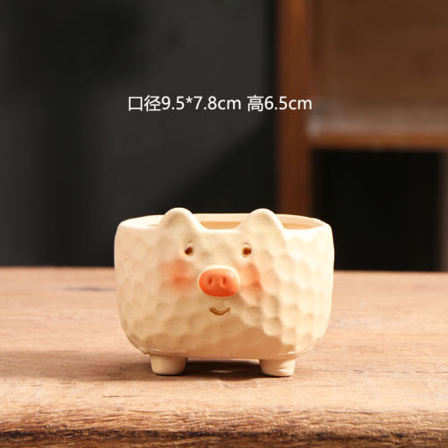 小猪可爱控根多肉陶盆大清仓