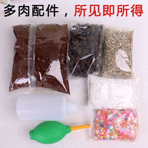 多肉地面铺面石智能中等营养