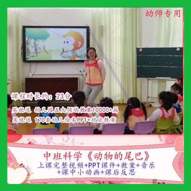 幼儿园优质课中班科学《动物的尾巴》公开课视频PPT课件教学教案