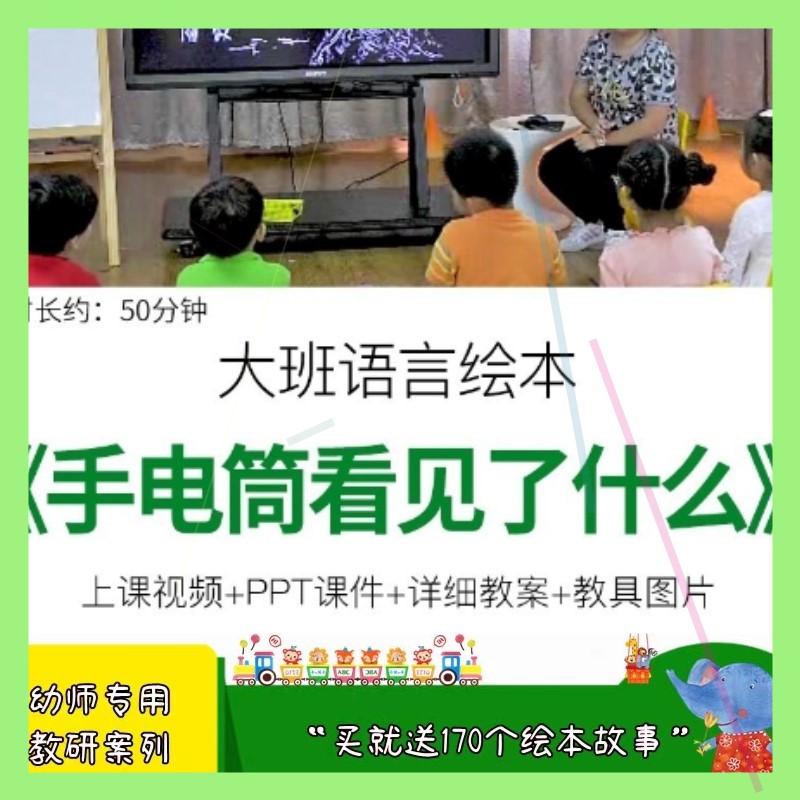 幼儿园优质公开课大班阅读语言《手电筒看见了什么》ppt课件教案.