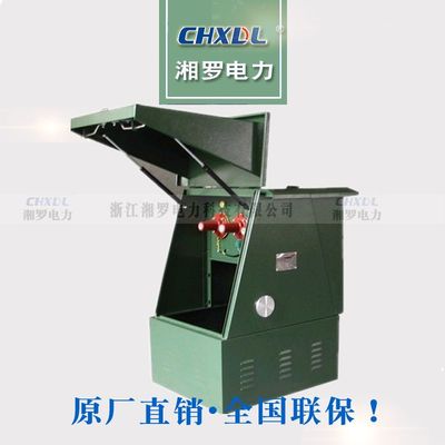 10KV欧式高压电缆分支箱DFW-12/630不锈钢/铁壳一进一二三四五出