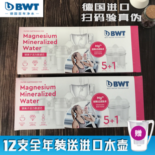 德国原装进口BWT镁离子滤芯家用过滤水壶倍世净水壶通用滤芯12只