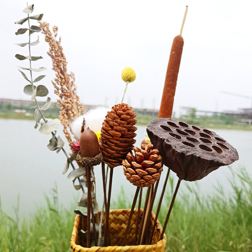 ins网红天然干花花束装饰摆件