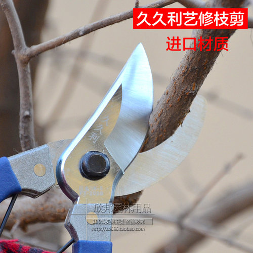 修枝剪园艺剪刀手剪树枝花木大剪刀粗枝剪台湾久久利大省力枝剪刀