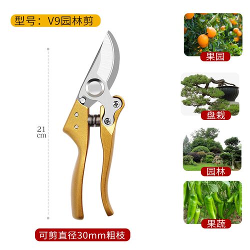 SK5粗枝剪园林园艺修枝剪修花枝剪果树剪花卉稀果剪采摘水果神器