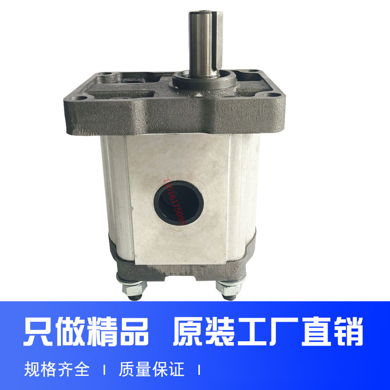 齿轮泵 液压油泵CBN-F310 F314 F306 F320 F325 F316 F325 TRYY