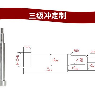 模具冲针冲头钨钢冲SKD-11SKH-51非标定做冲针T冲异形冲针冲头A冲