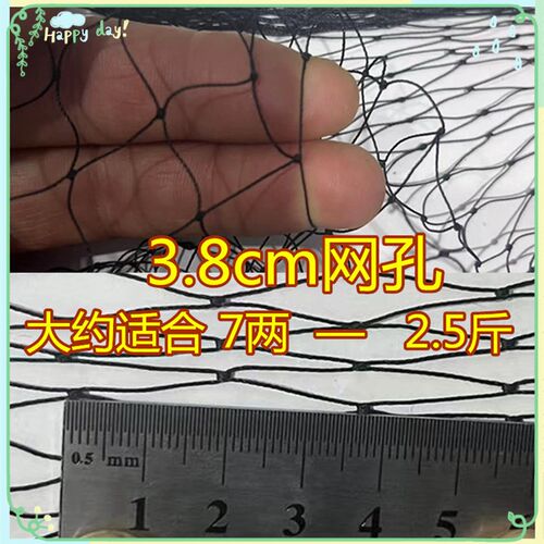 套防辣条养殖专用防蛇尼龙网柔软高丝坚固学校园区山区草地户外用
