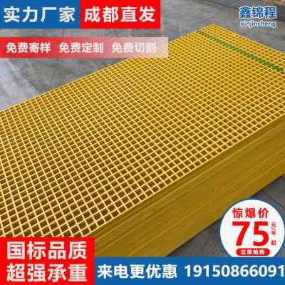 玻璃钢格栅洗车房洗车店地格栅板污水池地沟盖板树篦子地网网格板
