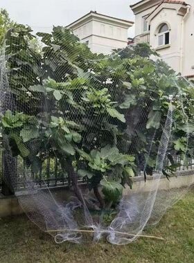 果树防鸟罩嘉宝网罩樱桃葡萄果园防鸟用网神器纱网尼龙防护网桃树