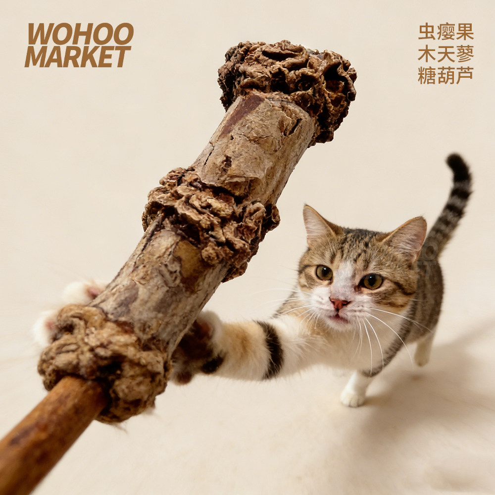 乌合集市虫瘿果木天蓼糖葫芦猫咪啃咬磨牙玩具磨牙棒解闷猫薄荷,宠物/宠物食品及用品,猫薄荷/木天蓼,淘宝优惠券,粉丝福利购,淘宝优惠卷