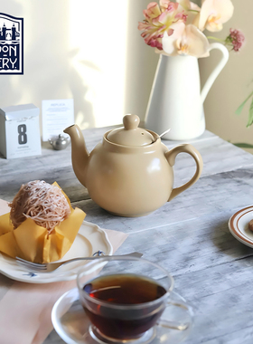 London Pottery田园系列哑光姜黄色陶瓷带滤网花茶壶下午茶壶ins