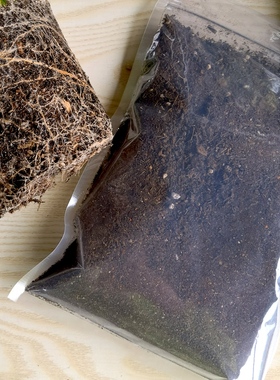 多肉植物土专用营养土800ML一包绿植盆栽土颗粒土种多肉植物的土