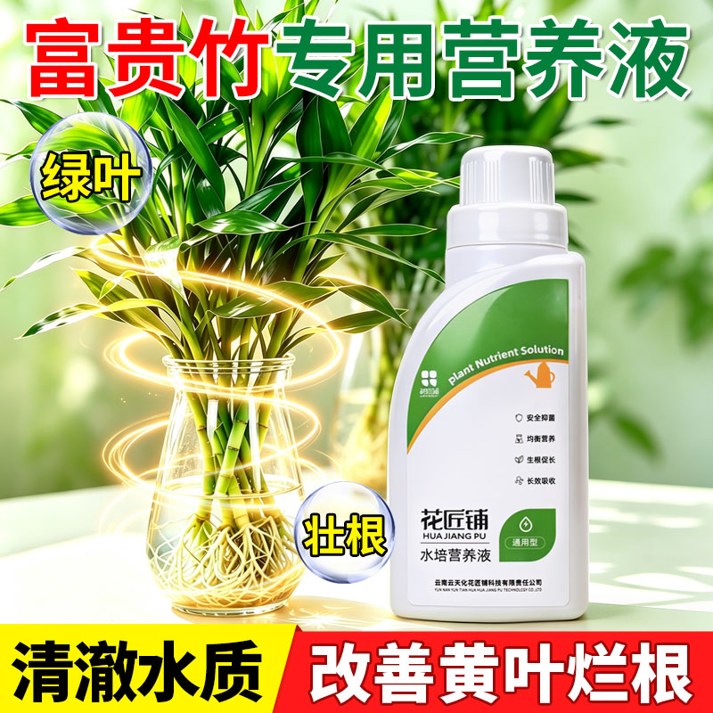 富贵竹专用营养液水培土培通用转运珠龙竹节节高室内水养液体花肥