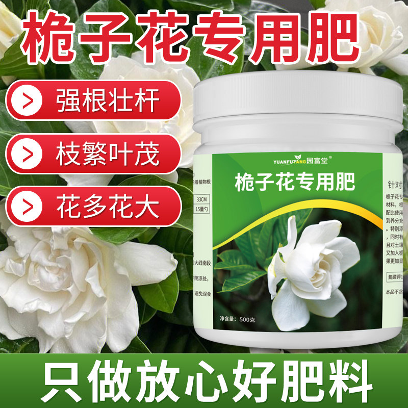 栀子花肥料专用肥开花植物黄叶硫酸亚铁花肥料促花养花盆栽家用