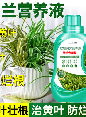 园富堂发财树专用营养液