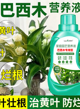 园富堂发财树专用营养液