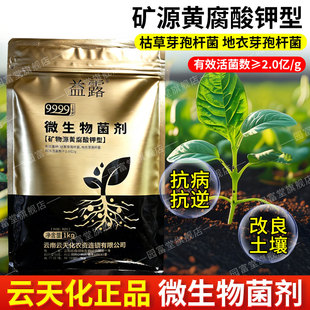 云天化矿源黄腐酸钾生根壮苗水溶肥正品微生物菌剂水产用精品肥料