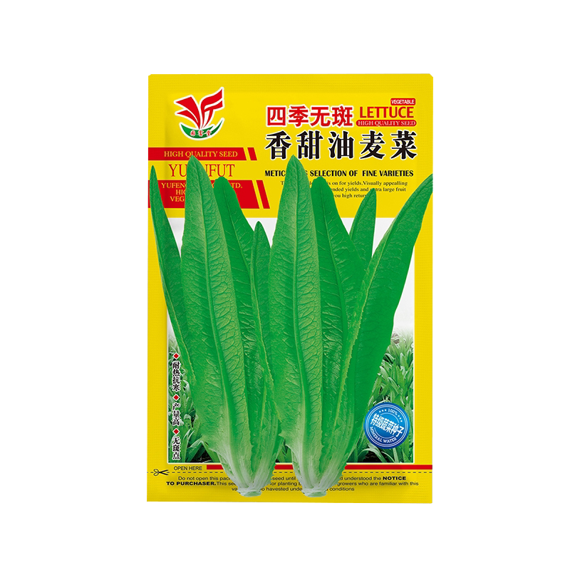 油麦菜籽种大全四季青菜秋后种的蔬菜种子种孑高产阳台盆栽香麦菜