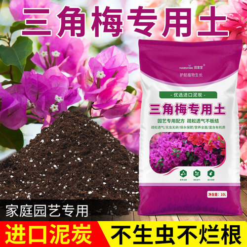 三角梅专用土营养土养花通用花泥