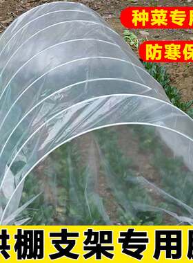 保暖大棚防寒塑料冬季种菜专用