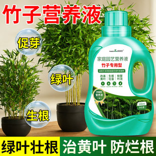 竹子专用营养液叶子黄水培植物通用型室内外绿植盆栽花卉液体肥料