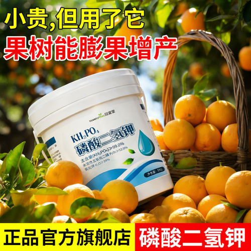 99%纯度磷酸二氢钾正品
