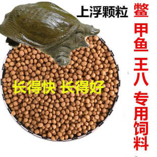 甲鱼鳖饲料 中华鳖 水团鱼小甲鱼饲料 王八饲料珍珠鳖饲料乌龟粮
