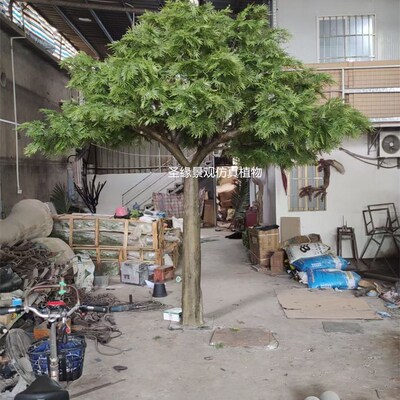 合欢树仿真树凤凰树大型s玻璃钢仿油柑子树含羞草室外装饰影视道