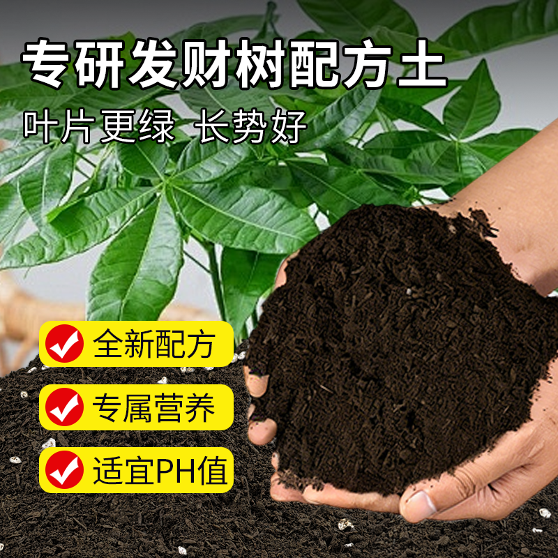 发财树专用营养土肥料阳台家用盆栽有机土轻质疏松透气泥炭土花土,鲜花速递/花卉仿真/绿植园艺,家庭园艺肥料,淘宝优惠券,粉丝福利购,淘宝优惠卷