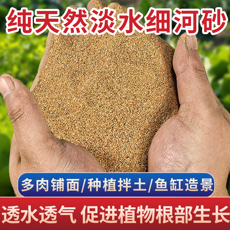 养花专用河沙纯天然种植土粗沙细沙透水透气多肉种植铺面养花种菜