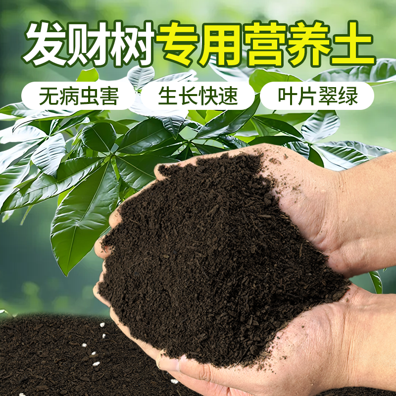 发财树专用肥料营养土养花通用专用多肉盆栽花卉蔬菜有机土泥炭土,鲜花速递/花卉仿真/绿植园艺,家庭园艺肥料,淘宝优惠券,粉丝福利购,淘宝优惠卷