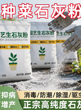 生石灰粉消毒生石灰粉杀虫种菜石灰粉熟石灰粉杀菌100斤包邮批发