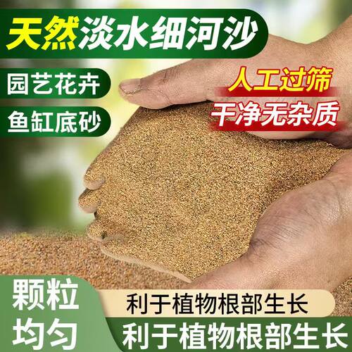 天然河沙养花种植种花实验粗沙细砂黄沙通用营养土烘干沙溪流沙