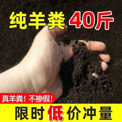 羊粪发酵有机肥料蔬菜专用花肥内蒙古发酵羊粪农家肥腐熟种菜肥料