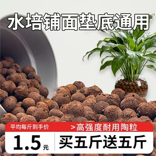 陶粒垫底养花专用轻质多孔透气水培铺面陶粒高温烧制耐用20斤包邮