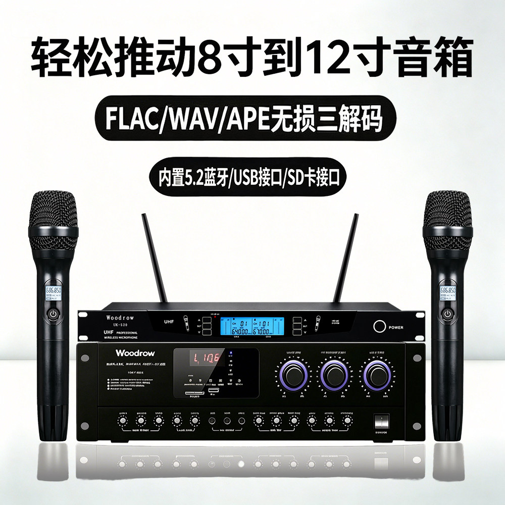 伍德罗PW208家用大功率卡拉OK蓝牙功放机家庭KTV专业无线麦克风
