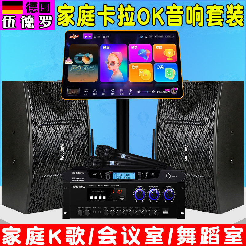 德国伍德罗家庭KTV卡拉OK音响套装点歌机会议舞厅舞蹈培训全套