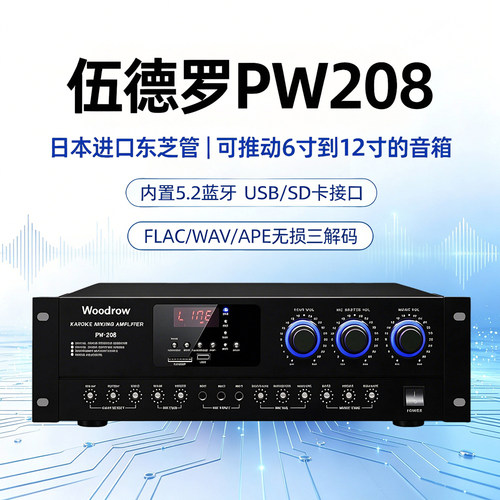 伍德罗PW208蓝牙双混响功放