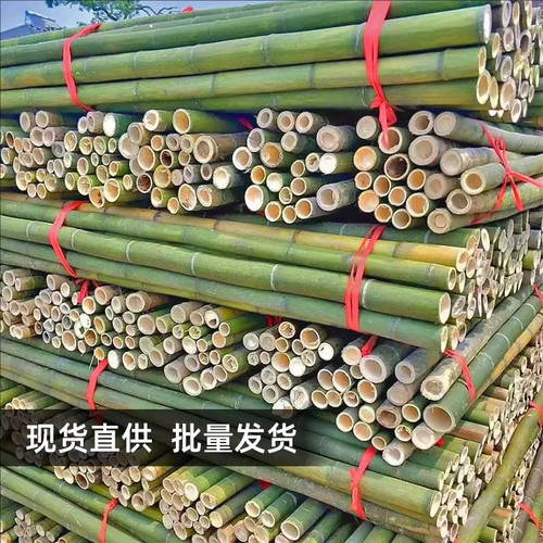 细竹竿菜园搭架爬藤栅栏