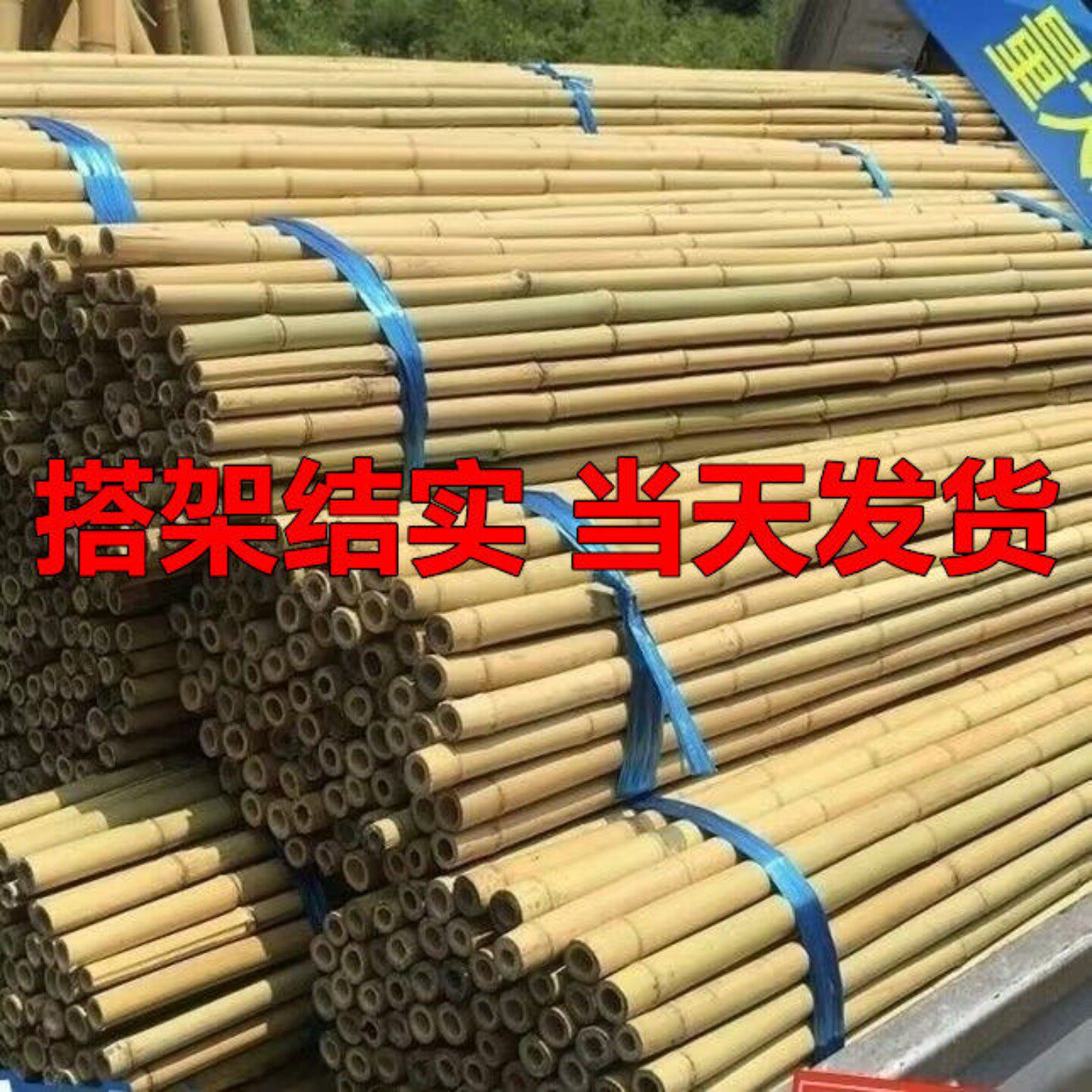 竹竿菜园搭架蔬菜番茄豆角黄瓜架杆竹篱笆栅栏小竹子细竹竿葡萄架图片