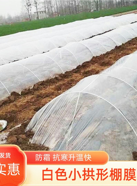 塑料膜封窗加厚透明防水布保温保暖挡风防尘包装防潮大棚薄膜种菜