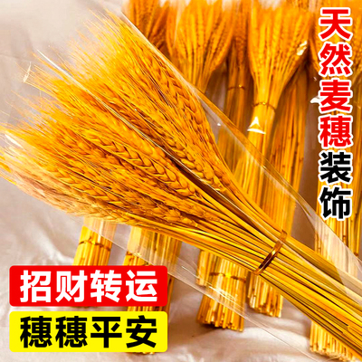 黄金大麦麦穗装饰摆件乔迁开业