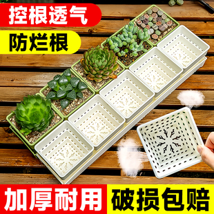 爱美多肉专用花盆控根透气创意小白方组合树脂加厚塑料植物种植盆