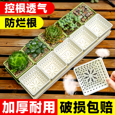 爱美多肉专用花盆树脂控根透气