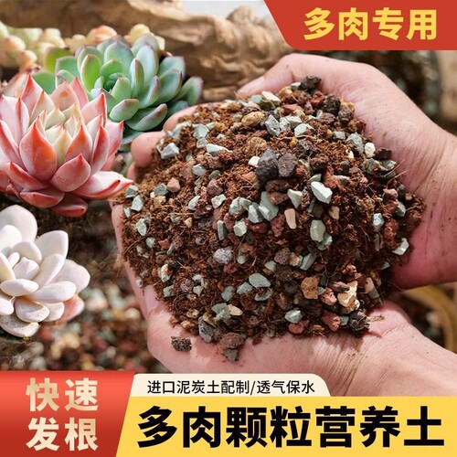 多肉土颗粒土专用营养土肉肉植物种植土铺面石叶插进口泥炭土包邮