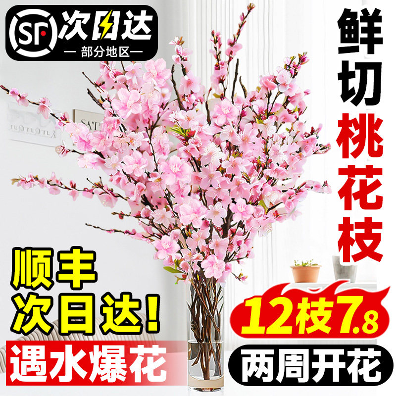 桃花枝水培带花苞干枝红梅珍珠李当季鲜切遇水爆花秋冬过年插花束,鲜花速递/花卉仿真/绿植园艺,绿植,淘宝优惠券,粉丝福利购,淘宝优惠卷