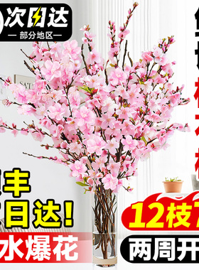 桃花枝水培带花苞干枝红梅珍珠李当季鲜切遇水爆花秋冬过年插花束